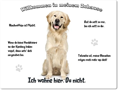 Merchandise for Fans Blechschild/Warnschild/Türschild - Aluminium - 15x20cm - Willkommen in Meinem Zuhause - Motiv: Golden Retriever/Labrador sitzend - 01 von Merchandise for Fans