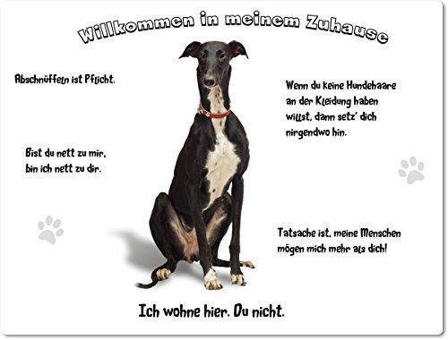 Merchandise for Fans Blechschild/Warnschild/Türschild - Aluminium - 15x20cm - - Willkommen in Meinem Zuhause - Motiv: Greyhound Windhund sitzend - 01 von Merchandise for Fans