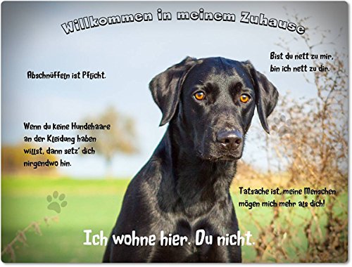 Merchandise for Fans Blechschild/Warnschild/Türschild - Aluminium - 15x20cm - Willkommen in Meinem Zuhause - Motiv: Labrador schwarz Porträt - 02 von Merchandise for Fans
