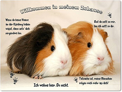 Merchandise for Fans Blechschild/Warnschild/Türschild - Aluminium - 15x20cm - - Willkommen in Meinem Zuhause - Motiv: Meerschweinchen Zwei Tiere nebeneinander - 04 von Merchandise for Fans