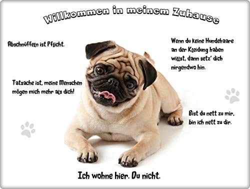 Merchandise for Fans Blechschild/Warnschild/Türschild - Aluminium - 15x20cm - - Willkommen in Meinem Zuhause - Motiv: Mops Porträt- 08 Merchandise for Fans Blechschild/Warnschild/Türschild - Aluminium - 15x20cm - - Willkommen in Meinem Zuhause - Motiv: Mops Porträt- 08 von Merchandise for Fans