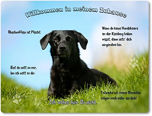 Merchandise for Fans Blechschild/Warnschild/Türschild - Aluminium - 15x20cm - - Willkommen in Meinem Zuhause - Motiv: Schwarzer Labrador liegt im Gras - 14 von Merchandise for Fans
