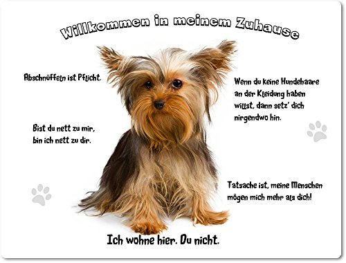 Merchandise for Fans Blechschild/Warnschild/Türschild - Aluminium - 15x20cm - - Willkommen in Meinem Zuhause - Motiv: Yorkshire Terrier - 02 von Merchandise for Fans