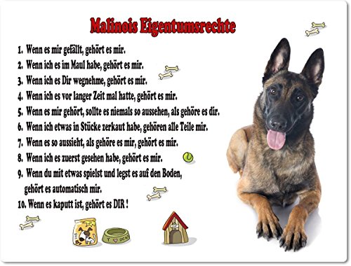 Merchandise for Fans Blechschild/Warnschild/Türschild - Aluminium - 20x30cm Eigentumsrechte Motiv: Malinois/Belgischer Schäferhund (01) von Merchandise for Fans