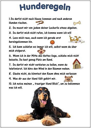 Merchandise for Fans Blechschild/Warnschild/Türschild - Aluminium - 20x30cm - - Hunderegeln - Motiv: Cocker Spaniel - 02 von Merchandise for Fans
