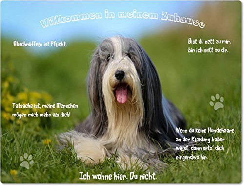 Merchandise for Fans Blechschild/Warnschild/Türschild - Aluminium - 20x30cm - - Willkommen in Meinem Zuhause - Motiv: Bearded Collie liegend im Gras- 02 von Merchandise for Fans