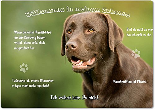 Merchandise for Fans Blechschild/Warnschild/Türschild - Aluminium - 20x30cm - - Willkommen in Meinem Zuhause - Motiv: Brauner Labrador Porträt - 19 von Merchandise for Fans