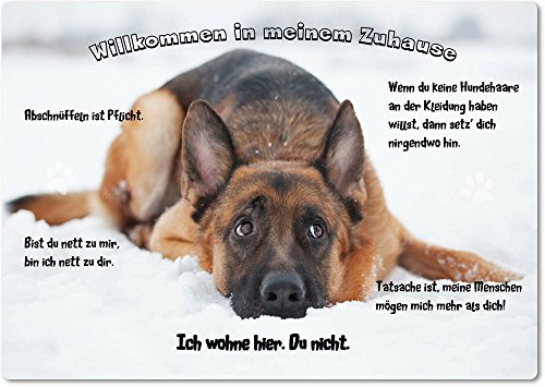 Merchandise for Fans Blechschild/Warnschild/Türschild - Aluminium - 20x30cm - - Willkommen in Meinem Zuhause - Motiv: Deutscher Schäferhund liegt im Schnee - 17 von Merchandise for Fans