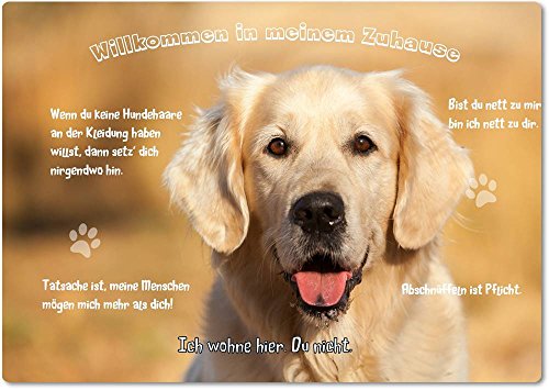 Merchandise for Fans Blechschild/Warnschild/Türschild - Aluminium - 20x30cm - - Willkommen in Meinem Zuhause - Motiv: Golden Retriever Porträt vor gelbem Hintergrund - 20 Merchandise for Fans Blechschild/Warnschild/Türschild - Aluminium - 20x30cm - - Willkommen in Meinem Zuhause - Motiv: Golden Retriever Porträt vor gelbem Hintergrund - 20 von Merchandise for Fans