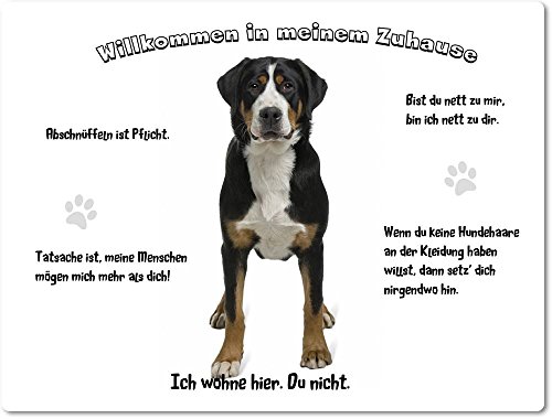 Merchandise for Fans Blechschild/Warnschild/Türschild - Aluminium - 20x30cm - - Willkommen in Meinem Zuhause - Motiv: Großer Schweizer Sennenhund - 16 von Merchandise for Fans