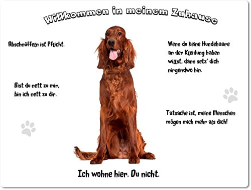 Merchandise for Fans Blechschild/Warnschild/Türschild - Aluminium - 20x30cm - - Willkommen in Meinem Zuhause - Motiv: Irish Setter sitzend - 01 von Merchandise for Fans