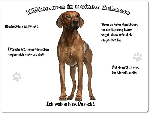 Merchandise for Fans Blechschild/Warnschild/Türschild - Aluminium - 20x30cm - - Willkommen in Meinem Zuhause - Motiv: Rhodesian Ridgeback - 03 von Merchandise for Fans