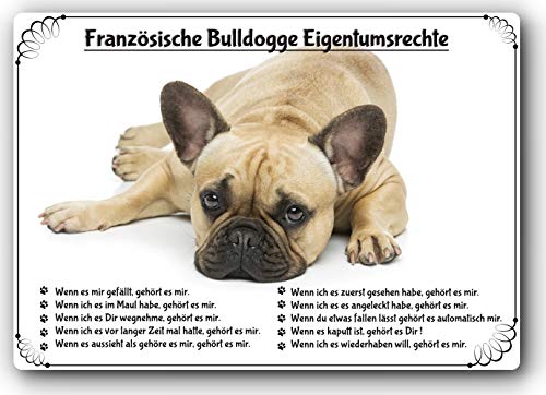 Merchandise for Fans Blechschild/Warnschild/Türschild - Aluminium - 30x20cm Eigentumsrechte Motiv: Französische Bulldogge (10) von Merchandise for Fans
