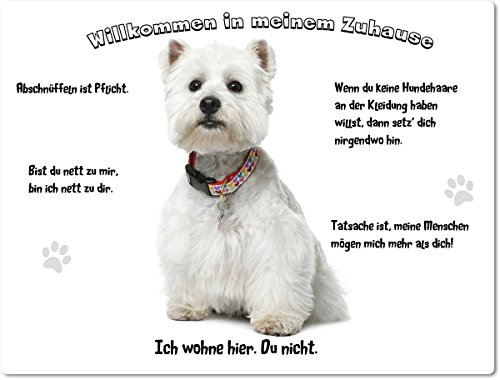 Merchandise for Fans Blechschild/Warnschild/Türschild - Aluminium - 30x20cm - - Willkommen in Meinem Zuhause - Motiv: West Highland White Terrier - 01 Merchandise for Fans Blechschild/Warnschild/Türschild - Aluminium - 30x20cm - - Willkommen in Meinem Zuhause - Motiv: West Highland White Terrier - 01 von Merchandise for Fans