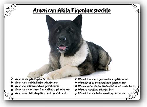 Merchandise for Fans Blechschild/Warnschild/Türschild - Aluminium - 30x40cm Eigentumsrechte Motiv: American Akita (01) von Merchandise for Fans