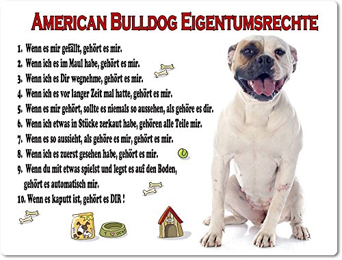 Blechschild/Warnschild/Türschild - Aluminium - 30x40cm Eigentumsrechte Motiv: American Bulldog weiß sitzend - 02 von Merchandise for Fans