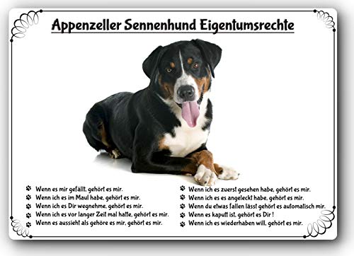 Merchandise for Fans Blechschild/Warnschild/Türschild - Aluminium - 30x40cm Eigentumsrechte Motiv: Appenzeller Sennenhund (06) von Merchandise for Fans