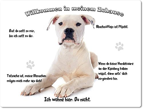 Merchandise for Fans Blechschild/Warnschild/Türschild - Aluminium - 30x40cm - - Willkommen in Meinem Zuhause - Motiv: American Bulldog - 01 von Merchandise for Fans