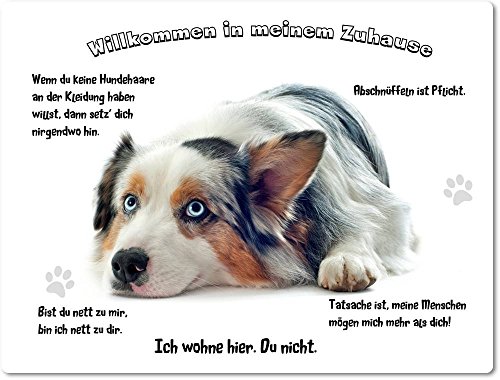 Merchandise for Fans Blechschild/Warnschild/Türschild - Aluminium - 30x40cm - - Willkommen in Meinem Zuhause - Motiv: Australian Shepherd Porträt - 10 Merchandise for Fans Blechschild/Warnschild/Türschild - Aluminium - 30x40cm - - Willkommen in Meinem Zuhause - Motiv: Australian Shepherd Porträt - 10 von Merchandise for Fans