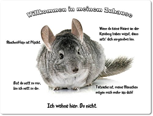 Blechschild/Warnschild/Türschild - Aluminium - 30x40cm - - Willkommen in Meinem Zuhause - Motiv: Chinchilla Porträt - 02 Blechschild/Warnschild/Türschild - Aluminium - 30x40cm - - Willkommen in Meinem Zuhause - Motiv: Chinchilla Porträt - 02 von Merchandise for Fans