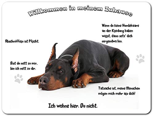 Merchandise for Fans Blechschild/Warnschild/Türschild - Aluminium - 30x40cm - - Willkommen in Meinem Zuhause - Motiv: Dobermann liegend- 01 Merchandise for Fans Blechschild/Warnschild/Türschild - Aluminium - 30x40cm - - Willkommen in Meinem Zuhause - Motiv: Dobermann liegend- 01 von Merchandise for Fans
