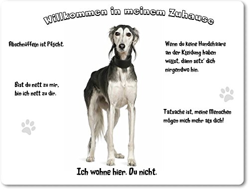 Merchandise for Fans Blechschild/Warnschild/Türschild - Aluminium - 30x40cm - - Willkommen in Meinem Zuhause - Motiv: Saluki/Windhund - 01 Merchandise for Fans Blechschild/Warnschild/Türschild - Aluminium - 30x40cm - - Willkommen in Meinem Zuhause - Motiv: Saluki/Windhund - 01 von Merchandise for Fans