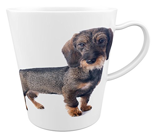 Merchandise for Fans Dackel Teckel Dachshund Rauhhaardackel |Latte Macchiato Becher Kaffeebecher mit Fotodruck |006 von Merchandise for Fans