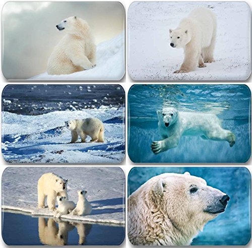 Merchandise for Fans Eisbär/Eisbären in der Arktis - 6 rechteckige Kühlschrankmagnete 7X 4,5 cm - 01 für Memoboard Pinnwand Magnettafel Whiteboard von Merchandise for Fans