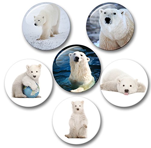 Merchandise for Fans Eisbär in der Arktis - 6 große Kühlschrankmagnete [ 06 ] für Memoboard Pinnwand Magnettafel Whiteboard von Merchandise for Fans