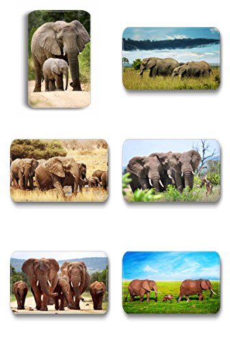 Merchandise for Fans Elefant/Elefanten Herde - 6 rechteckige Kühlschrankmagnete 7X 4,5 cm - 01 für Memoboard Pinnwand Magnettafel Whiteboard von Merchandise for Fans