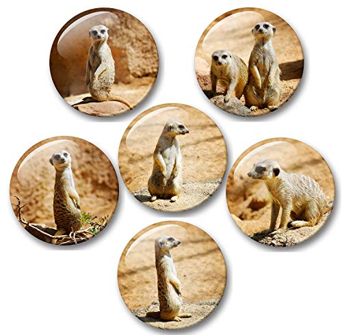 Erdmännchen - 6 große Kühlschrankmagnete [ 02 ] für Memoboard Pinnwand Magnettafel Whiteboard von Merchandise for Fans