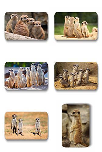 Merchandise for Fans Erdmännchen - 6 rechteckige Kühlschrankmagnete 7X 4,5 cm - 01 für Memoboard Pinnwand Magnettafel Whiteboard Merchandise for Fans Erdmännchen - 6 rechteckige Kühlschrankmagnete 7X 4,5 cm - 01 für Memoboard Pinnwand Magnettafel Whiteboard von Merchandise for Fans
