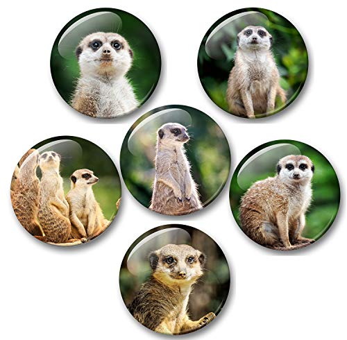 Merchandise for Fans Erdmännchen in der Wüste Porträts - 6 große Kühlschrankmagnete [ 03 ] von Merchandise for Fans