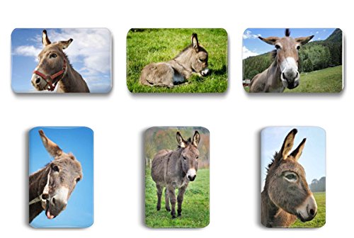 Merchandise for Fans Esel - 6 rechteckige Kühlschrankmagnete 7X 4,5 cm - 01 von Merchandise for Fans