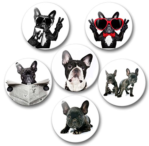 Merchandise for Fans Französische Bulldogge Porträt - 6 große Kühlschrankmagnete [ 04 ] von Merchandise for Fans