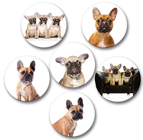 Merchandise for Fans Französische Bulldogge braun Porträt - 6 große Kühlschrankmagnete [ 03 ] von Merchandise for Fans