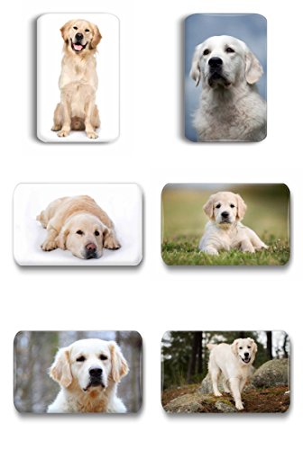 Merchandise for Fans Golden Retriever/Labrador - 6 rechteckige Kühlschrankmagnete 7X 4,5 cm - 03 für Memoboard Pinnwand Magnettafel Whiteboard von Merchandise for Fans