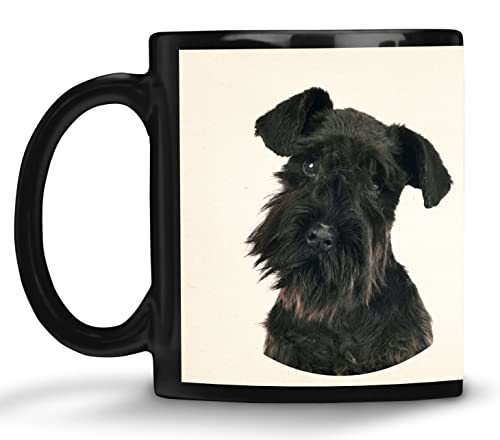 Merchandise for Fans Kaffeebecher mit Fotodruck schwarz / 330ml / Hund Schnauzer Foto mit lustigen Charaktereigenschaften von Merchandise for Fans
