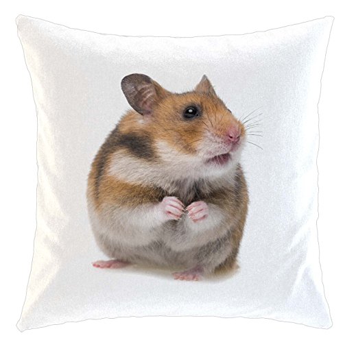 Kissen/weiches Kuschelkissen mit Füllung 40x40cm - Motiv: Hamster Feldhamster Zwerghamster Goldhamster | 02 von Merchandise for Fans