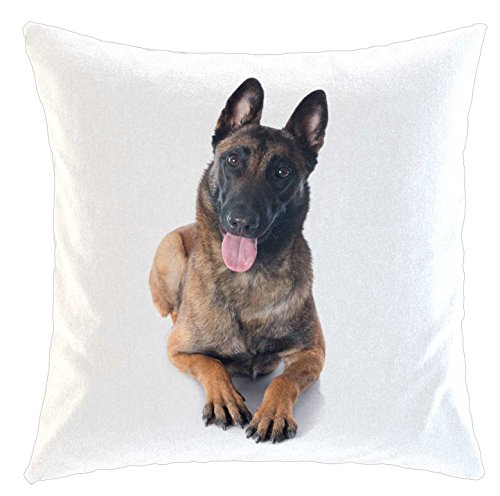 Kissen/weiches Kuschelkissen mit Füllung 40x40cm - Motiv: Malinois/Belgischer Schäferhund liegend | 01 von Merchandise for Fans