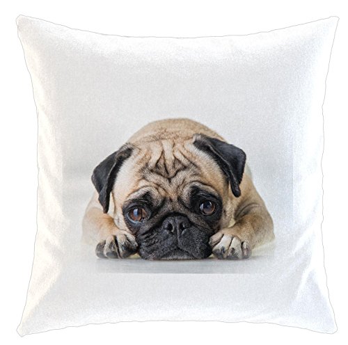 Kissen/weiches Kuschelkissen mit Füllung 40x40cm - Motiv: Mops döst vor sich hin | 016 von Merchandise for Fans