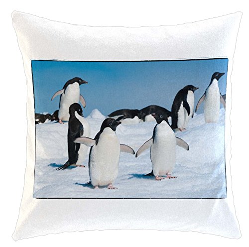 Merchandise for Fans Kissen/weiches Kuschelkissen mit Füllung 40x40cm - Motiv: Pinguine auf Einer Eisscholle | 002 von Merchandise for Fans