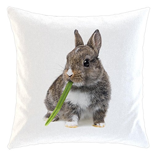 Merchandise for Fans Kissen / weiches Kuschelkissen mit Füllung - Motiv: Kaninchen frißt Gras| 004 von Merchandise for Fans
