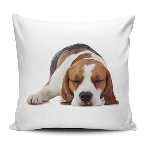 Merchandise for Fans Kissenhülle/Kissenbezug 40x40cm - Motiv: Beagle schlafend| 010 von Merchandise for Fans