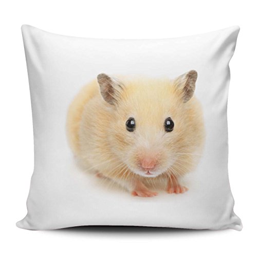 Merchandise for Fans Kissenhülle/Kissenbezug 40x40cm - Motiv: Hamster Feldhamster Zwerghamster Goldhamster | 06 von Merchandise for Fans