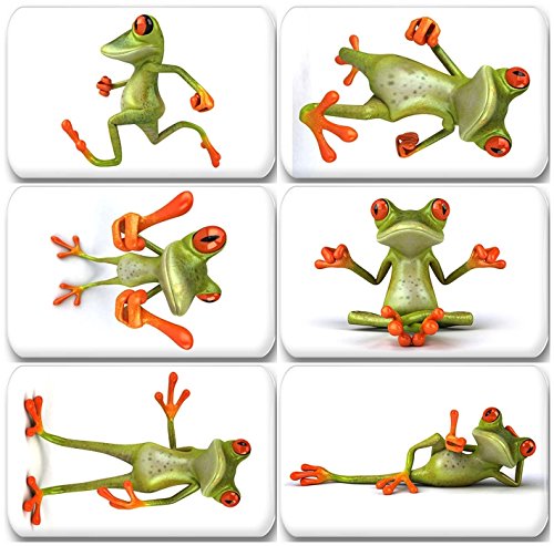 Merchandise for Fans Lustiger 3D Frosch - 6 rechteckige Kühlschrankmagnete 7X 4,5 cm - 04 für Memoboard Pinnwand Magnettafel Whiteboard von Merchandise for Fans