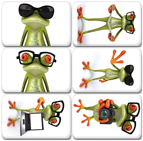 Merchandise for Fans Lustiger 3D Frosch - 6 rechteckige Kühlschrankmagnete 7X 4,5 cm - 06 für Memoboard Pinnwand Magnettafel Whiteboard von Merchandise for Fans