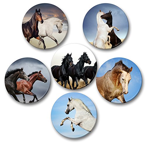 Merchandise for Fans Pferde Schimmel Rappe Fohlen - 6 große Kühlschrankmagnete (9) von Merchandise for Fans