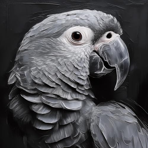 Merchandise for Fans Poster Bild Kunstdruck Wandbild Leinwand Canvas Gemälde 30x30cm - Vogel Papagei Graupapagei von Merchandise for Fans