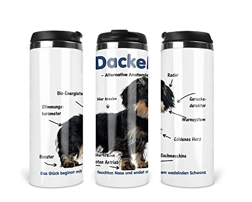 Merchandise for Fans Reisebecher/Thermobecher/Isolierbecher/Edelstahl | 340 ml |Deckel | Motiv Alternative Anatomie Dackel 03 von Merchandise for Fans